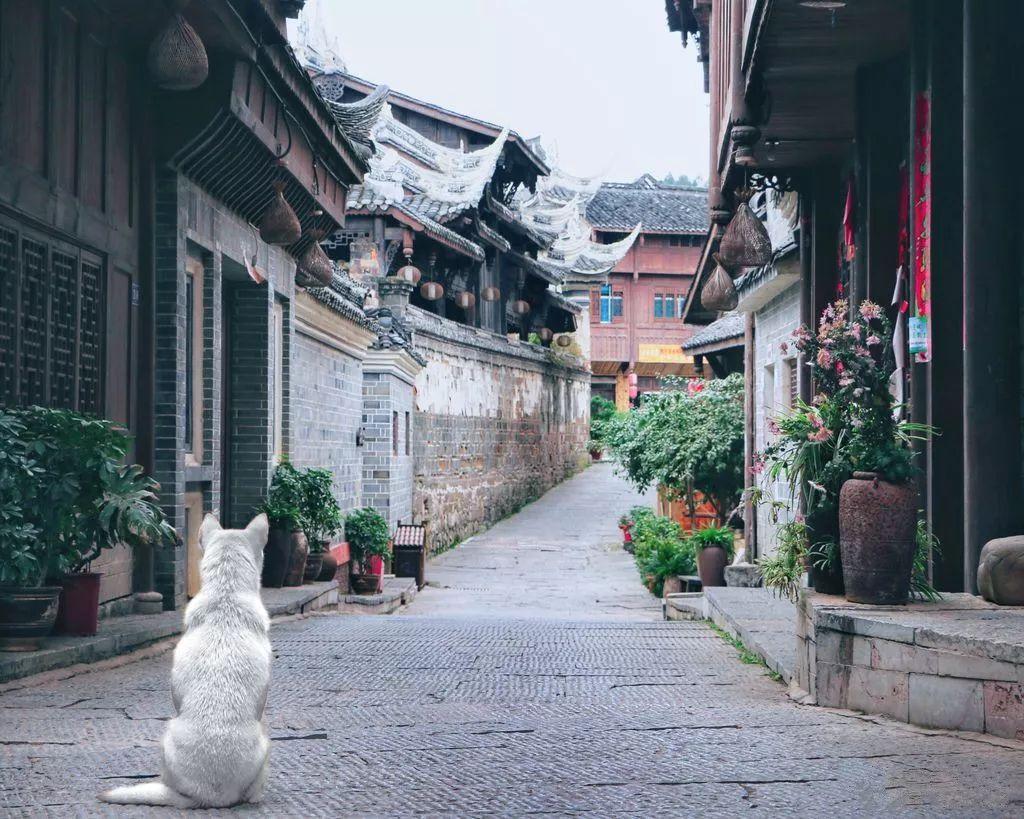 一案例成为省水利典型